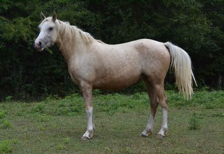 Kimberley des Charmes