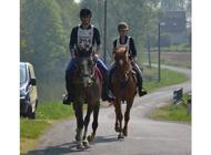 <p>Course SHF à Pleure</p>