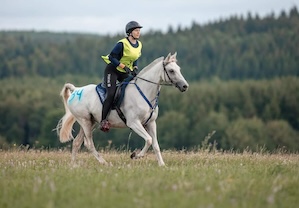 <p>CEI* Kitzbergdistanz - 100 km</p>